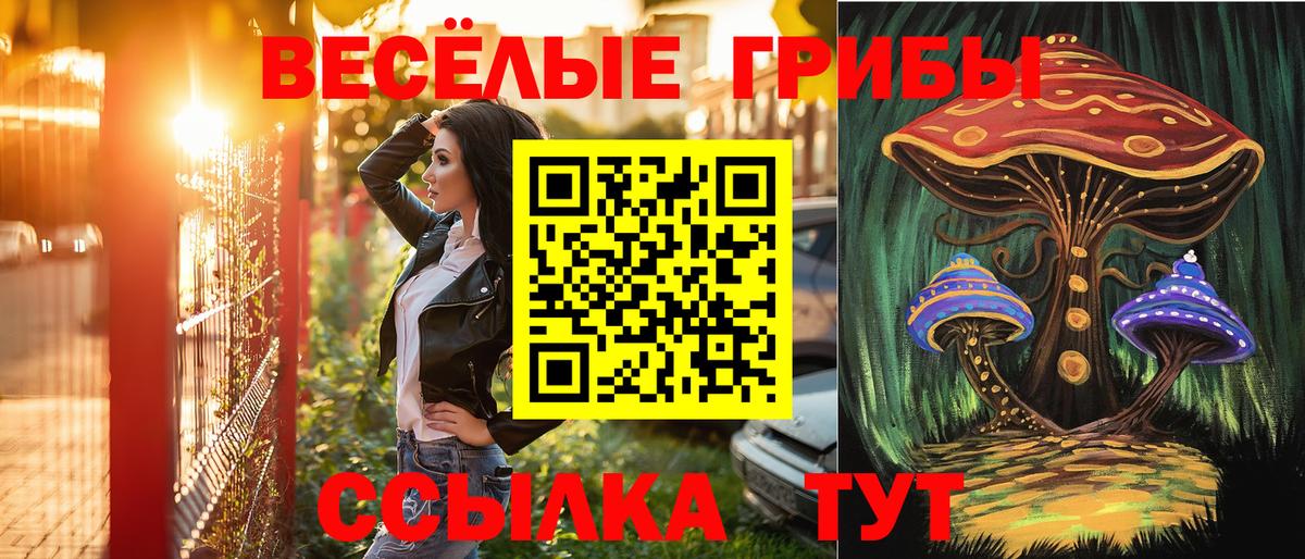 Галлюциногенные грибы GOLDEN TEACHER Энгельс