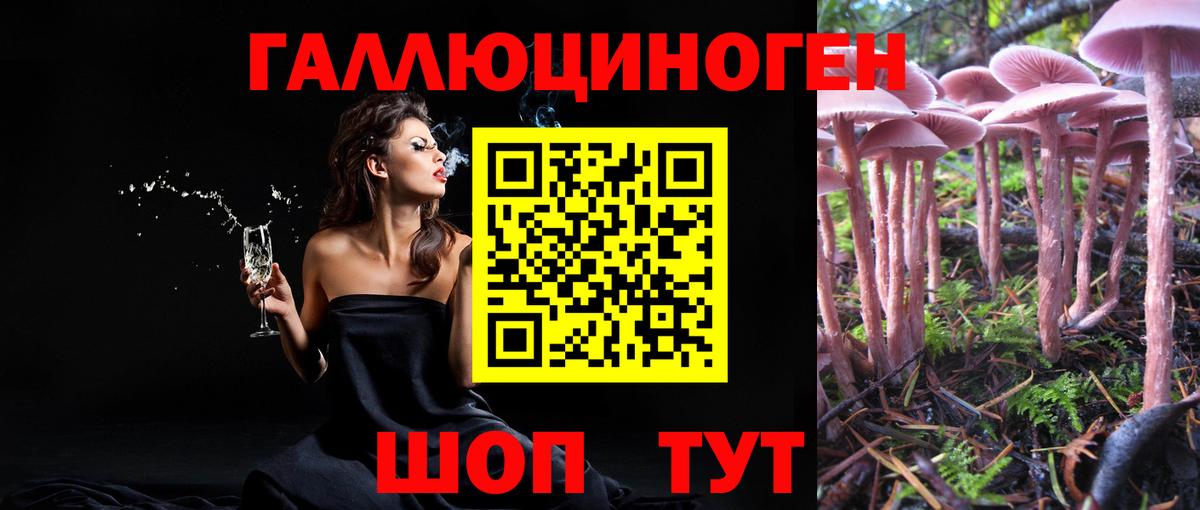 Энгельс  Галлюциногенные грибы прущие грибы  Вход с VPN 